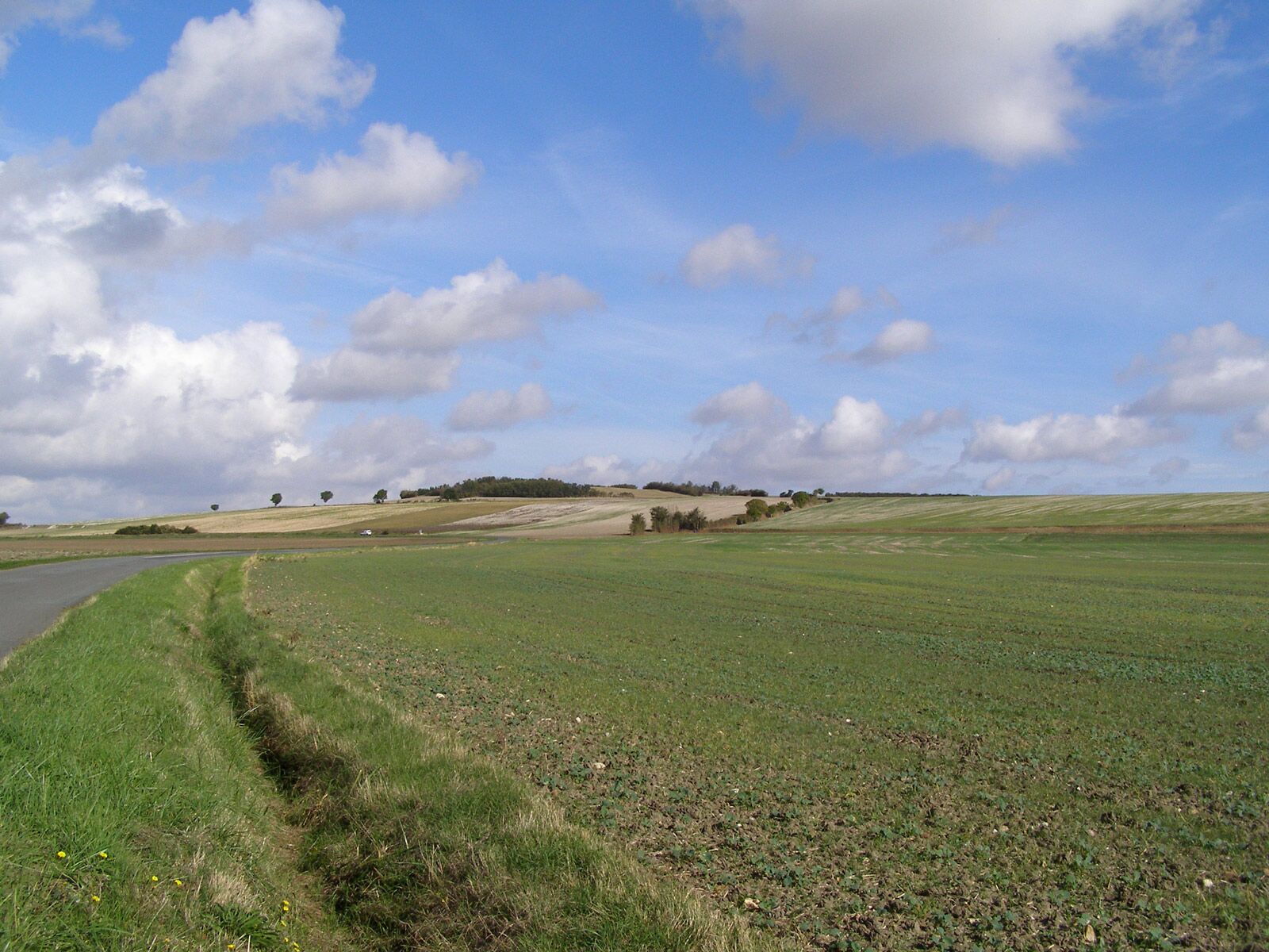Tourtenay