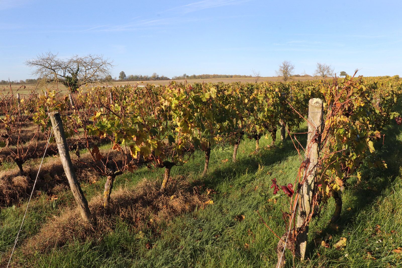Brion-Près-Thouet