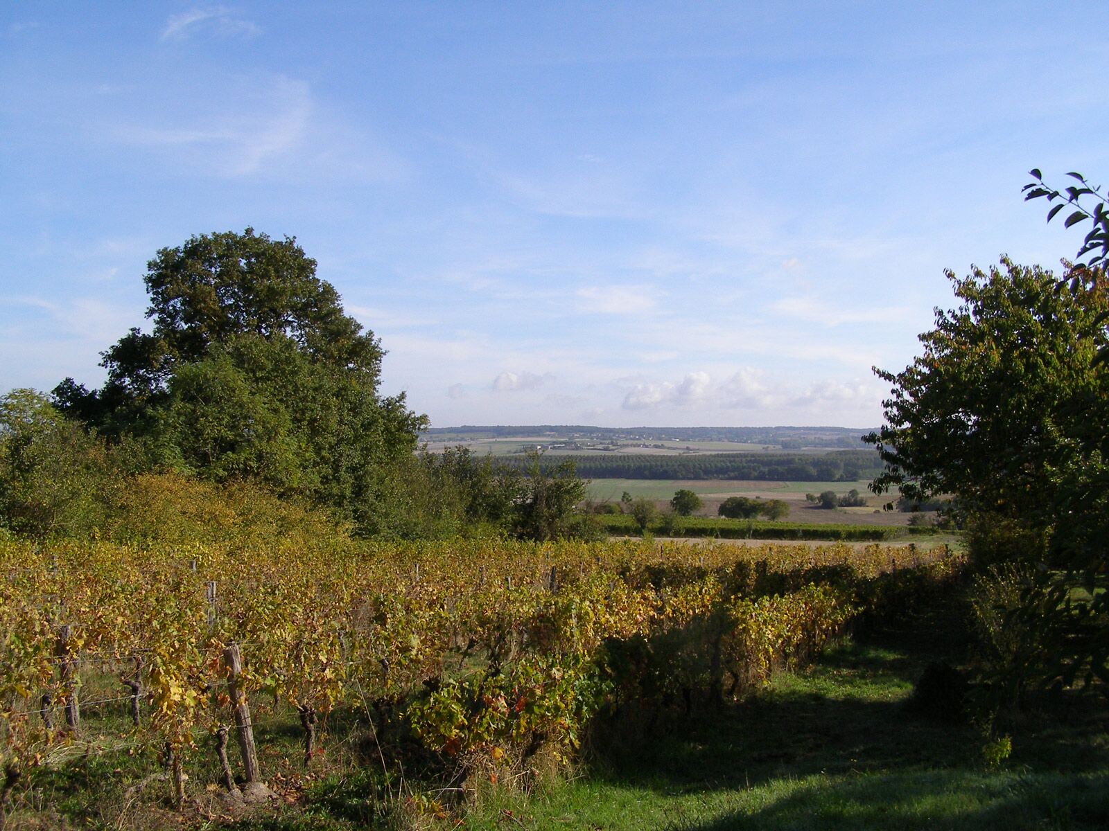 Tourtenay