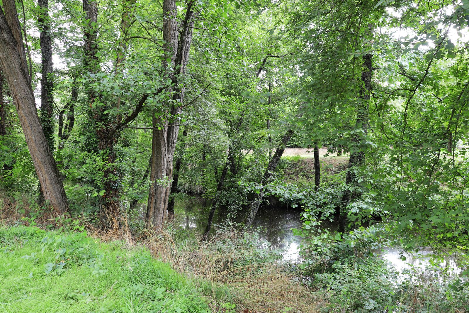 St Varent